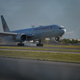 Even though the fence is in the way and part of a wing is cut off, I love this shot.